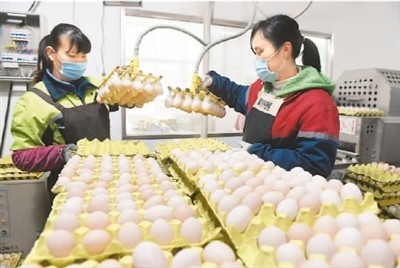多部門聯(lián)手保供穩(wěn)價(jià) 水果市場(chǎng)迎來“平價(jià)時(shí)代”